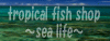 沖縄石垣島の海水魚ショップ「シーライフ」